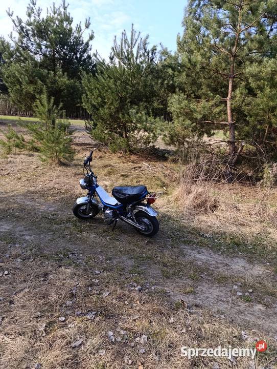 Motorynka chinska Kozienice