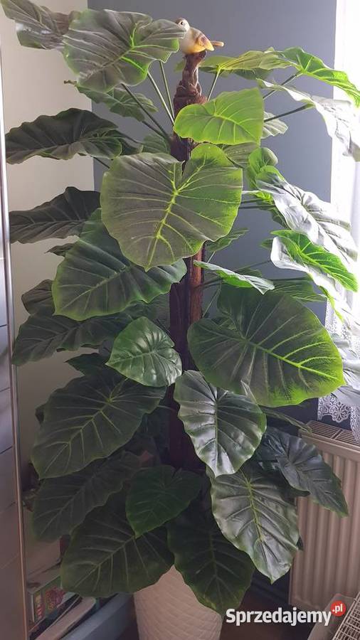 Sztuczny Filodendron Monstera Chorzów