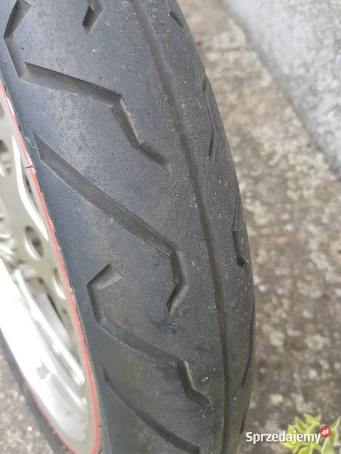 Honda XBR500 PC15 Skórcz