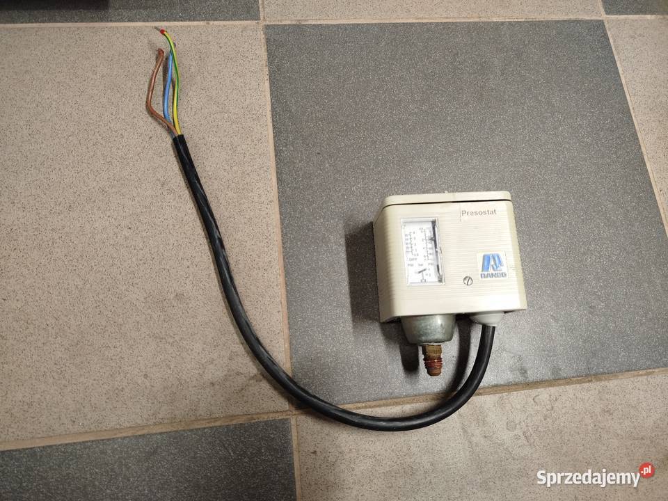 Termostat przeciwzamrożeniowy RANCO Dylągówka