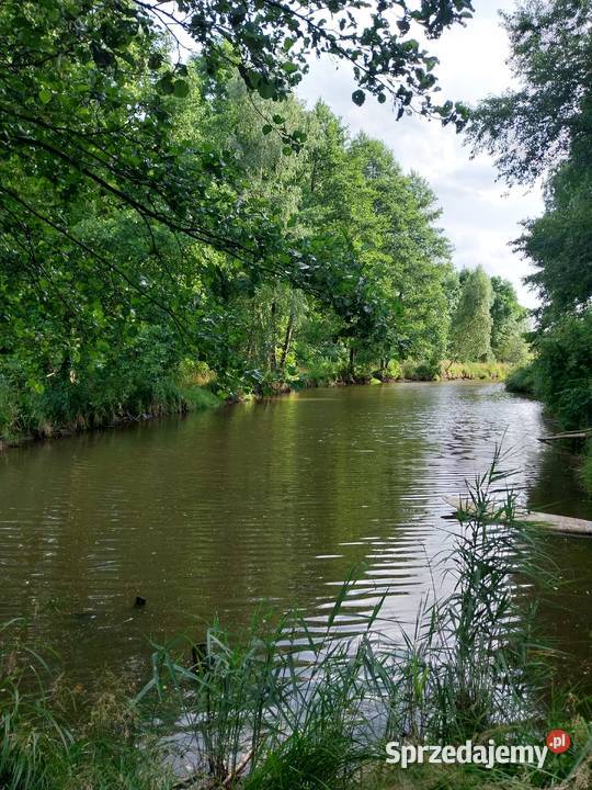 Sprzedam siedlisko rzeką śląskie Wręczyca Mała