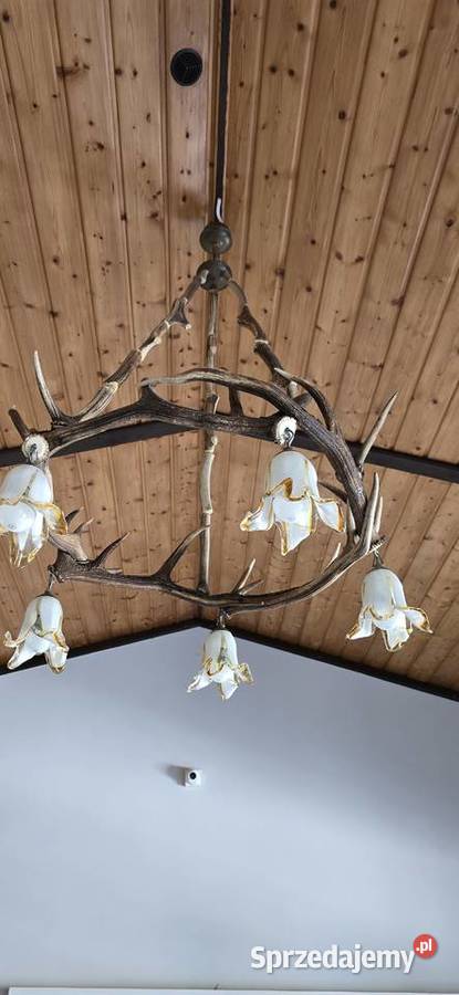 Żyrandole z poroża Zębowo