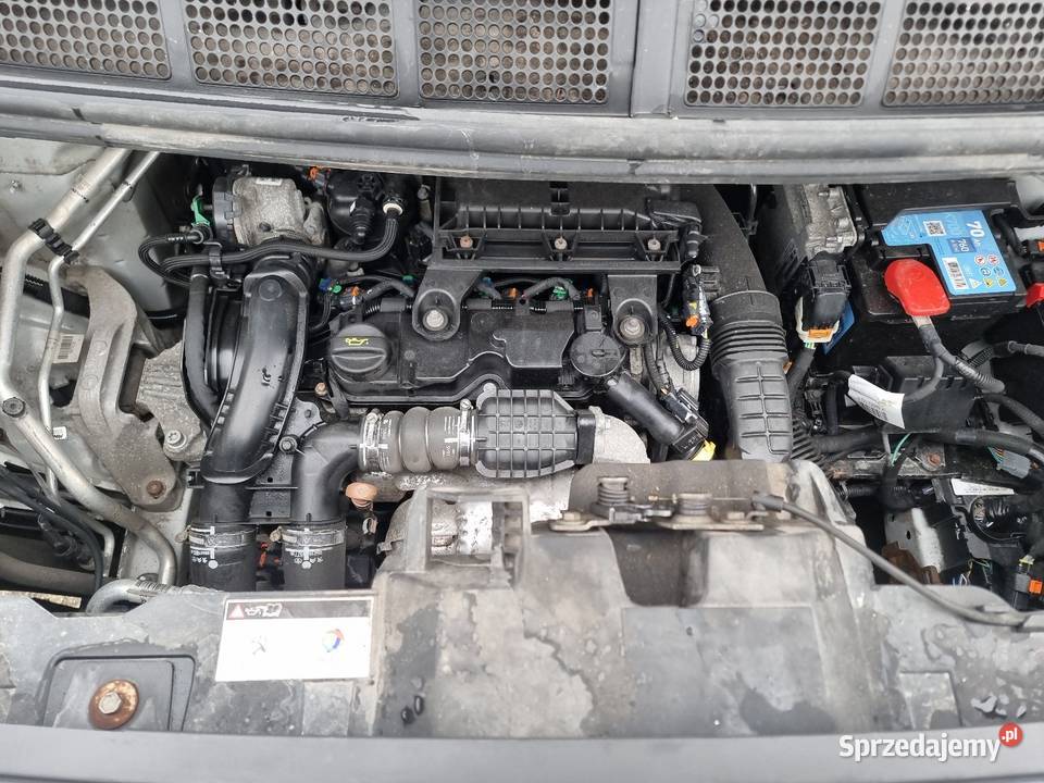 Peugeot Expert 16 Hdi automat niski przebieg lubuskie Gorzów Wielkopolski