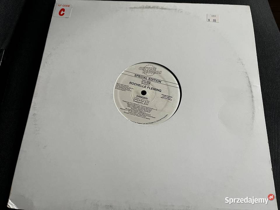 Rochelle Fleming Danger House Deep House elektroniczna Błażejowice sprzedam