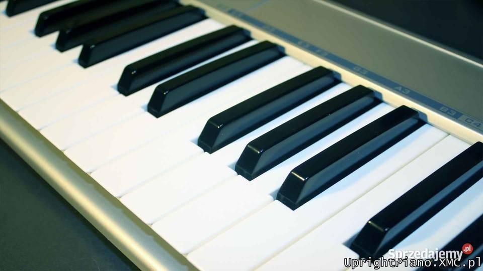 strojenie-naprawa-pianin-fortepian-w-ko-obrzeg-sprzedajemy-pl
