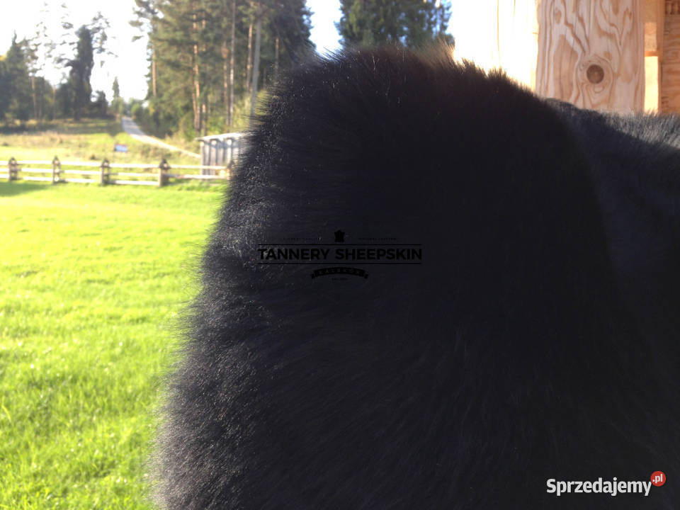 Skóra Owcza Czarna Skóra Naturalna XL Dekoracje i ozdoby Szaflary