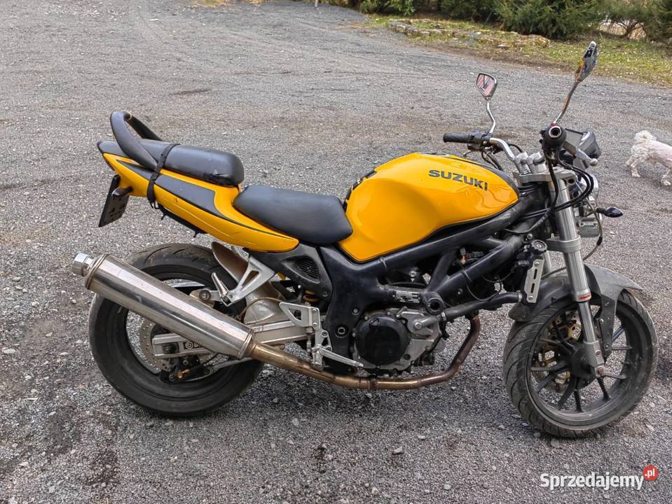 Suzuki sv650 Leśna