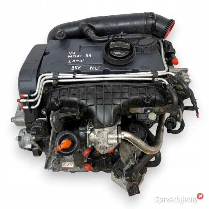 SILNIK BKP VW Passat B6 20 TDI 140 diesel sprzedam