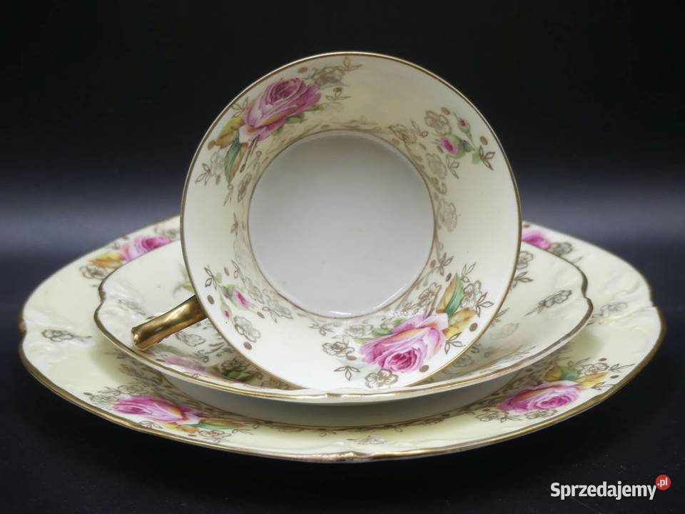 Zjawiskowe różane trio Tułowice Tillowitz 1928 Poznań