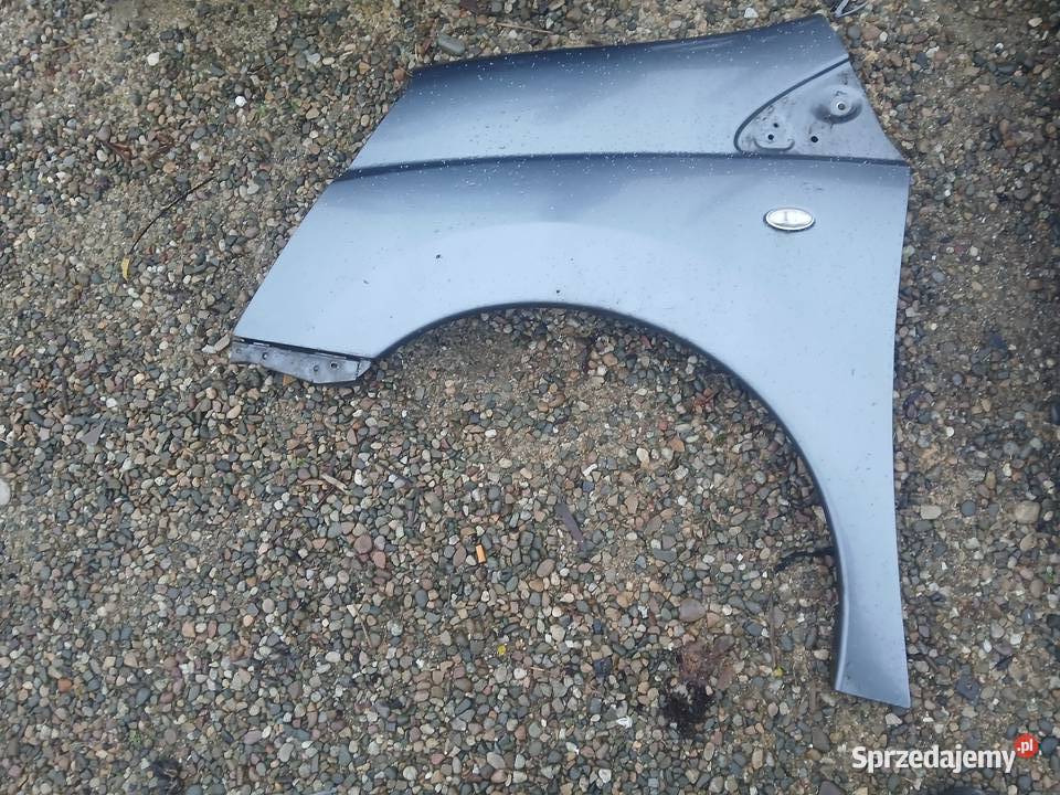 Błotnik Lewy przód Expert Scudo Jumpy II lak EZW Radłów