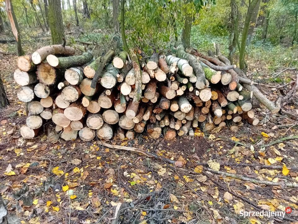 Drewno opałowe i kominkowe Opał Czerwonak