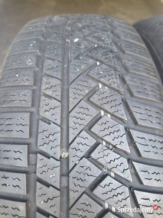 Opony zimowe Continental Winter Contact TS 750P Żagań