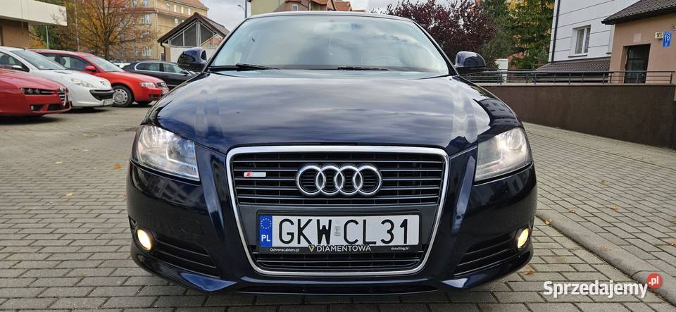 Audi A3 lift 2010r 16 TDI common rail stanniskie