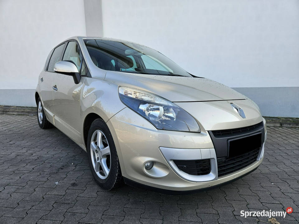 Renault Scenic Nawigacja Skórz tapicerka III elektryczne lusterka