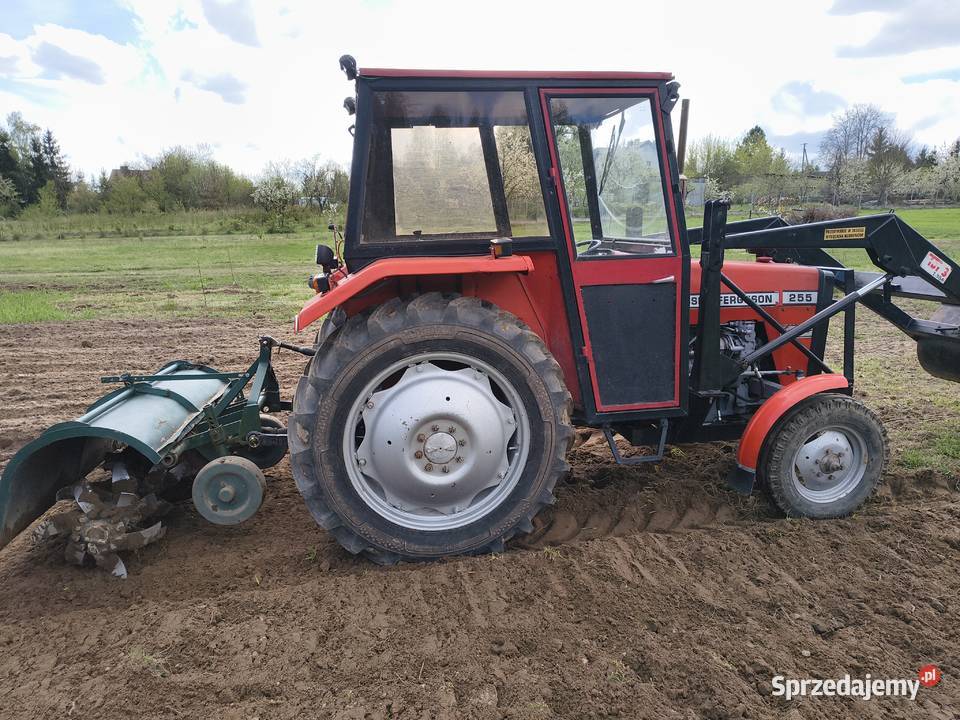 SPRZEDAM FERGUSONA 255 WŁASCICIELA Ferguson