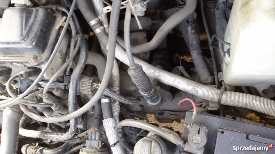 VW Polo Classic 16 benzyna rocznik 96 Chojna