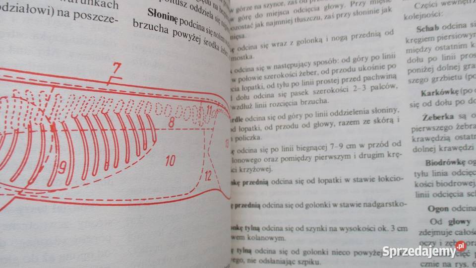 Domowe przetwory z mięsa przetwory mięso dżemy Poradniki, albumy i reportaże Łódź