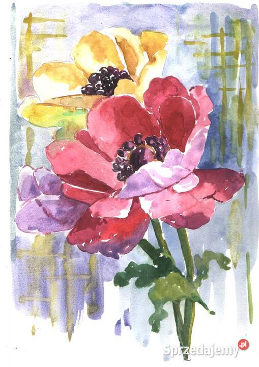 OBRAZ akwarela KWIATY Gryfów Śląski