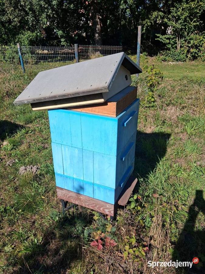 Ule pasieki śląskie sprzedam