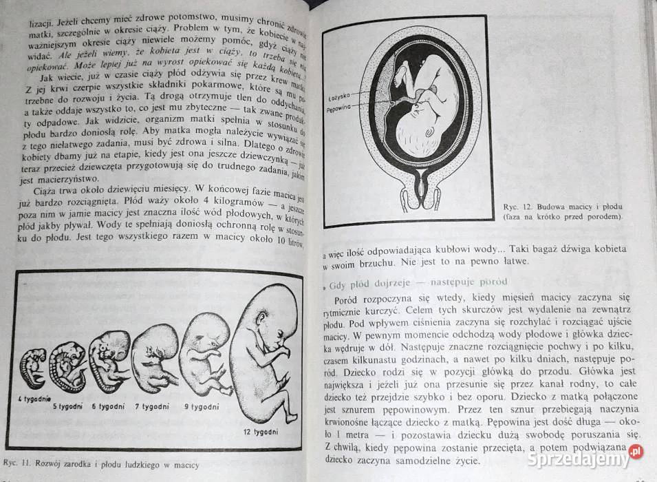 O chłopcach chłopców Andrzej Jaczewski Chełm