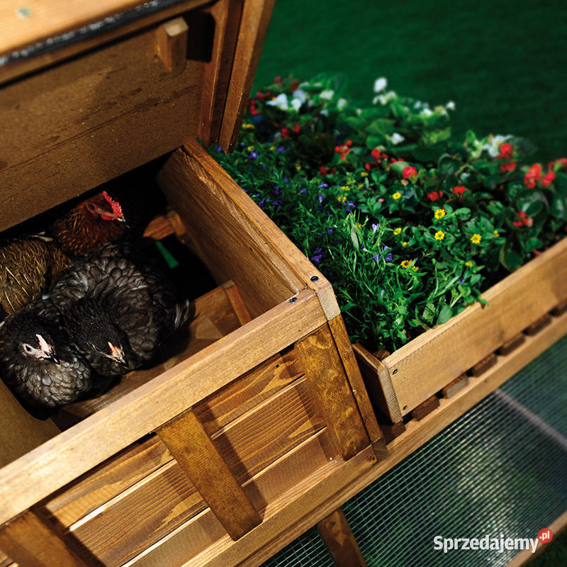 Kurnik Cosy Dla ptaków Trzemeśnia sprzedam