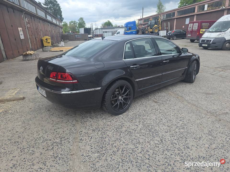 Phaeton prawie Full Gryfice