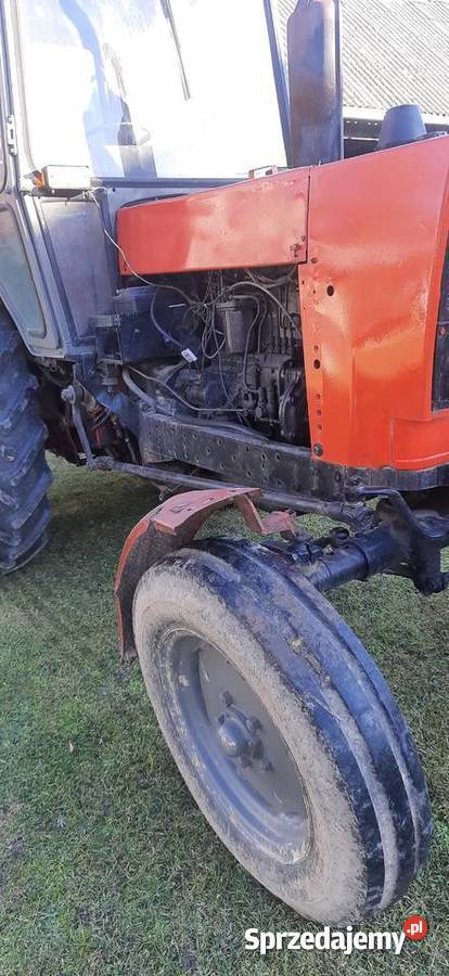 Białoruś jumz Rozkoszówka