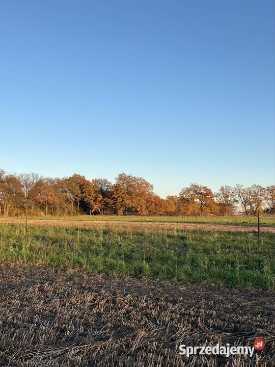 Działka Budowlana 400 m Wrocławia Bezpośrednio Sprzedaż Wilczyce