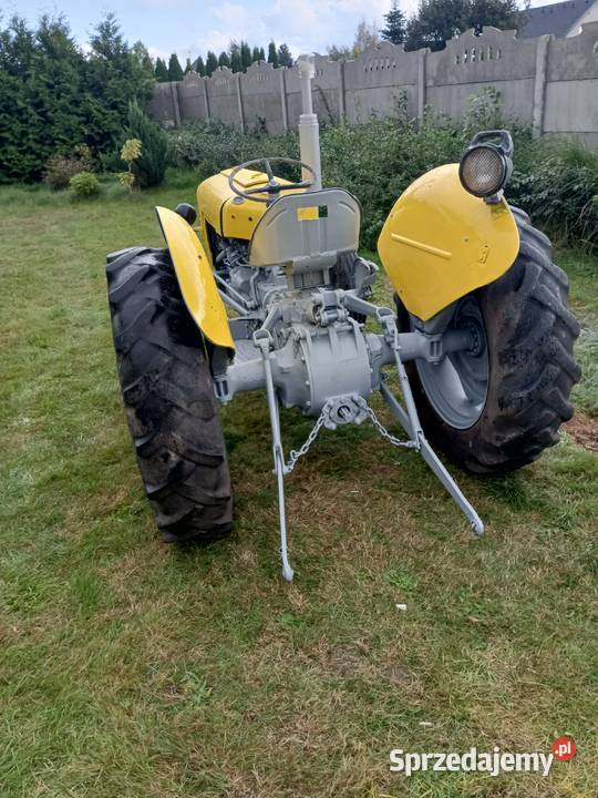 Massey Ferguson 35 benzyna Koszalin