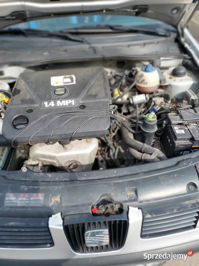 seat cordoba nieuszkodzony Łęczna