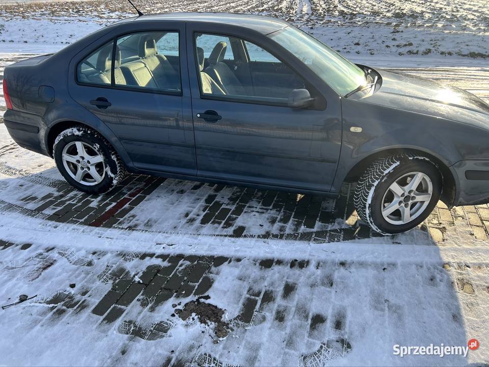 Sprzedam Volkswagen Bora Stary Dzików