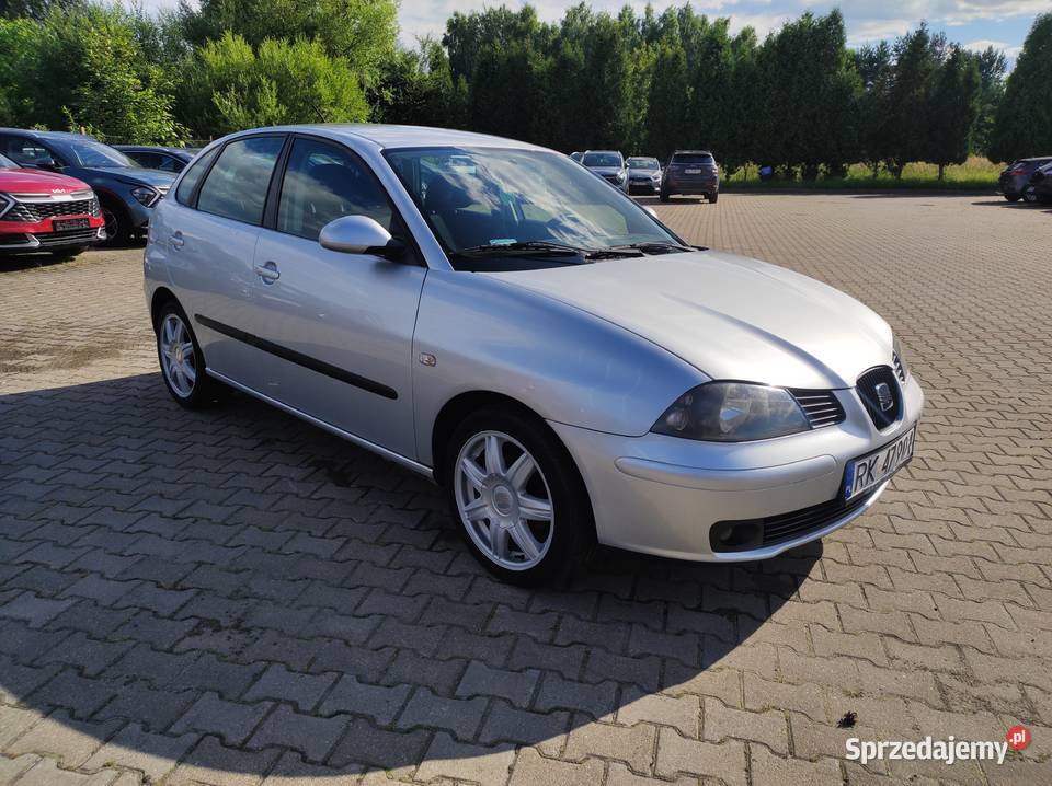 Seat Ibiza 14 MPI 2004 Krosno