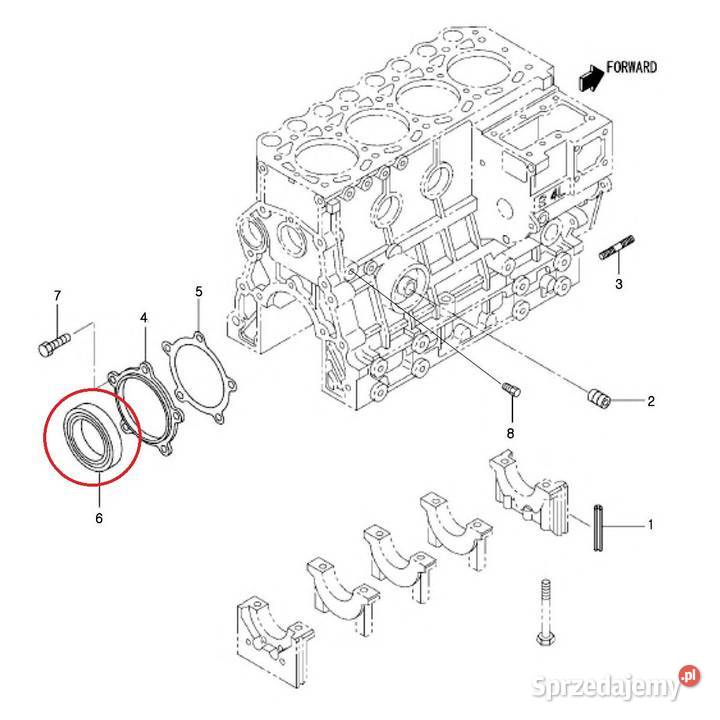 Pierścień Uszczelniający 40109203 LS Tractor Tajęcina