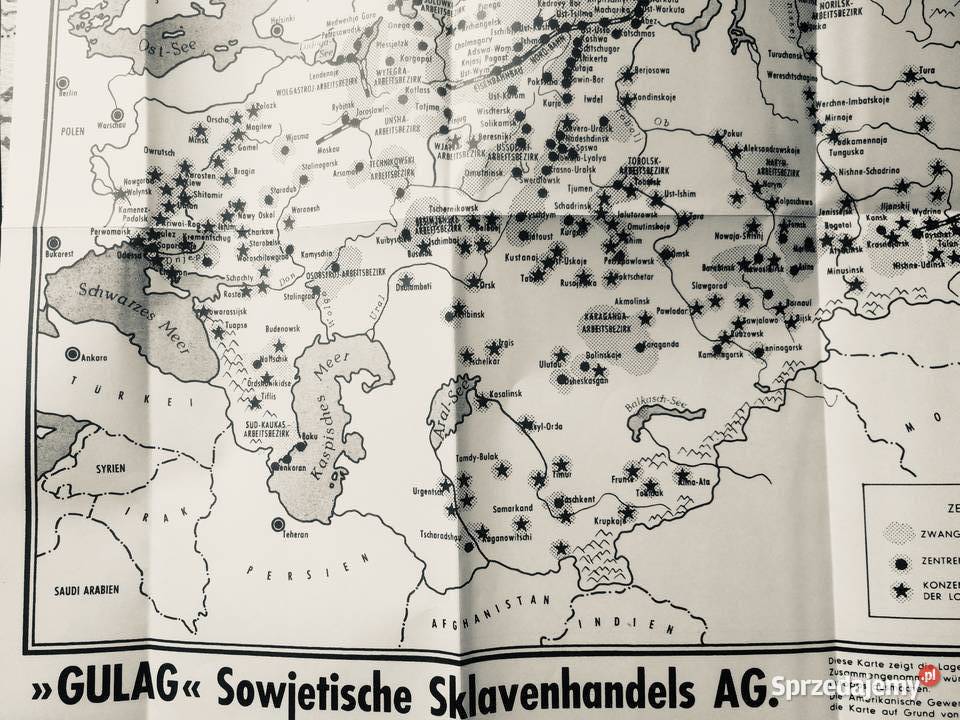 3780 Pomorska Pasja Szczecin