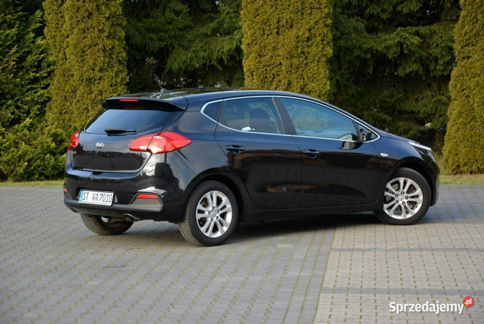 Kia Ceed Lift 104Przebieg Spirit Ledy podgrzewane fotele Kia Ostrów Mazowiecka