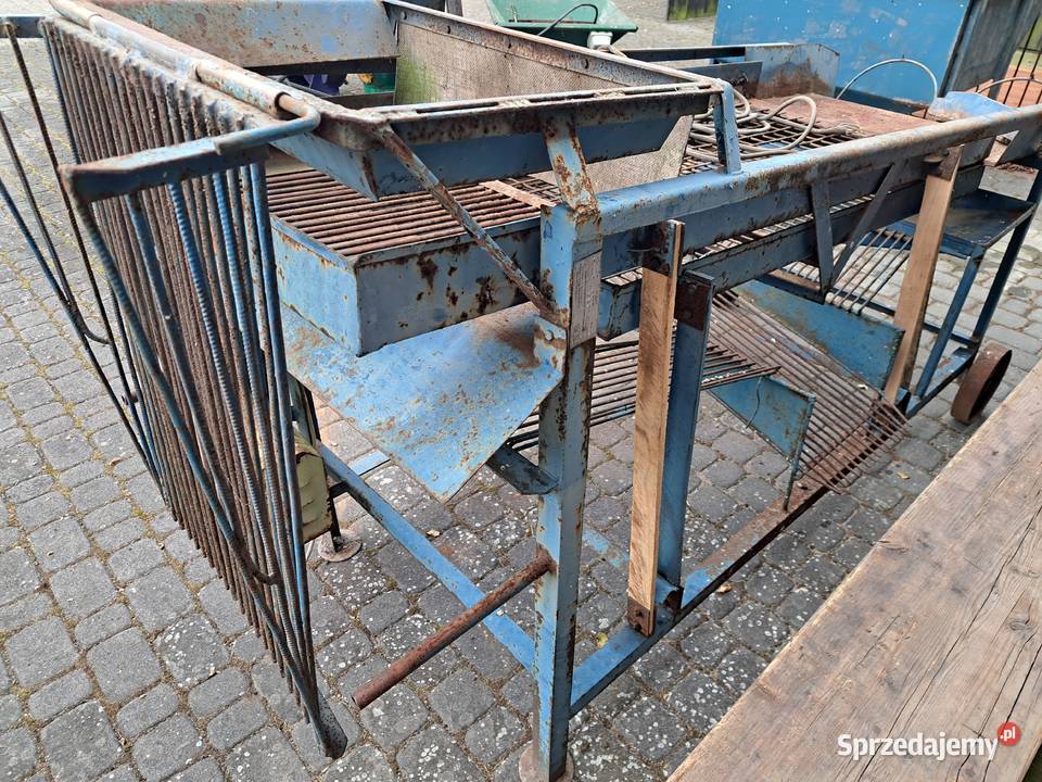 Sortownik do ziemniaków Sortowniki Krzymów