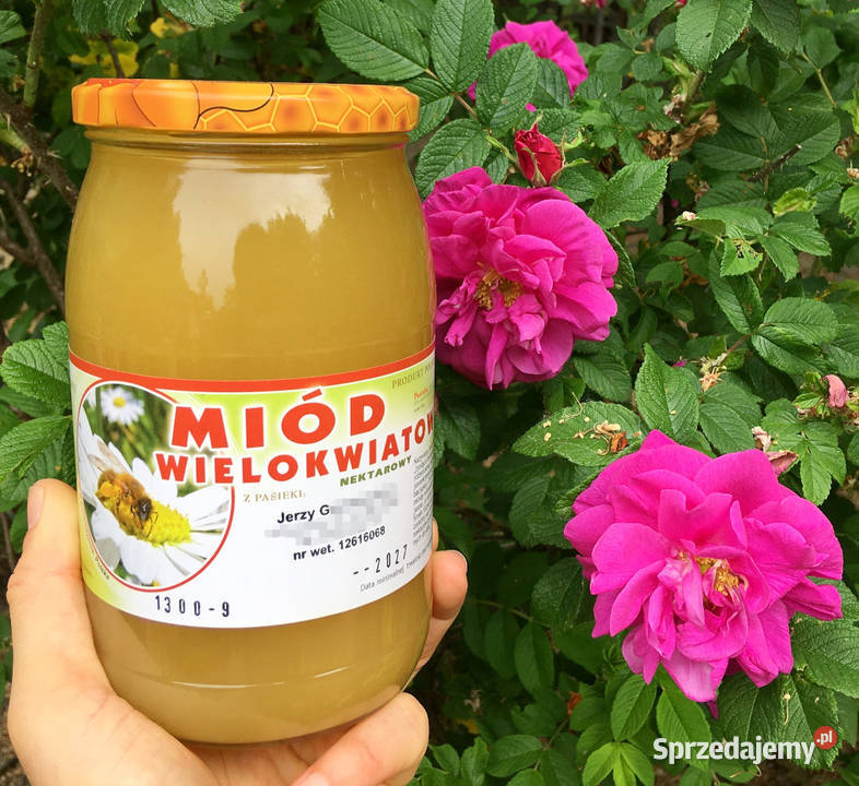 Miód wielokwiatowy wiosenny maj 2024 Kraków Rolnictwo
