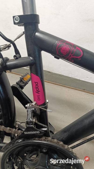 Rower dziewczęcy 24 firmy BTWIN DECATHLON 18 Gdańsk