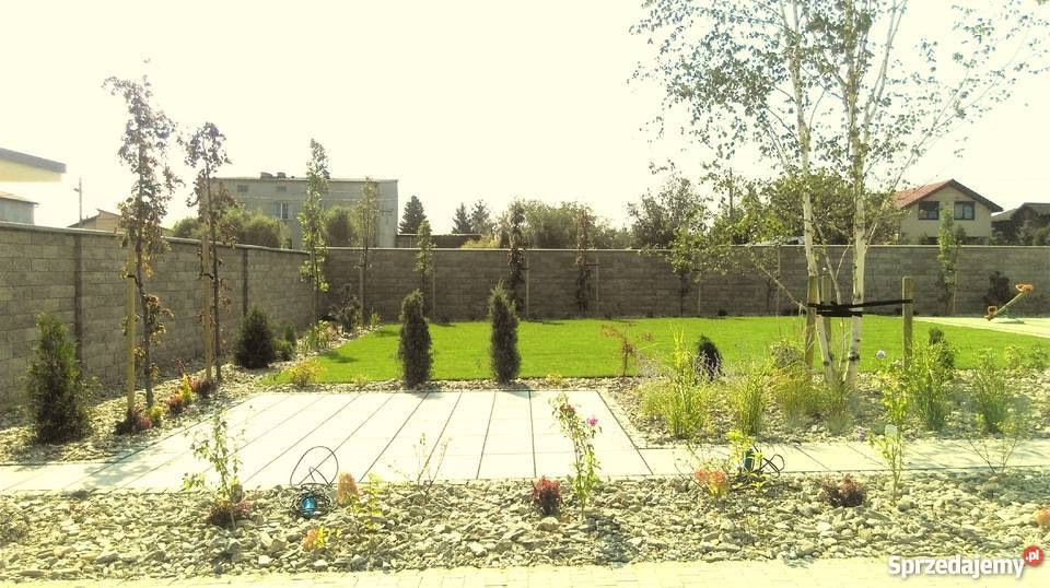 Projekty i Zakładanie Ogrodu Kraków