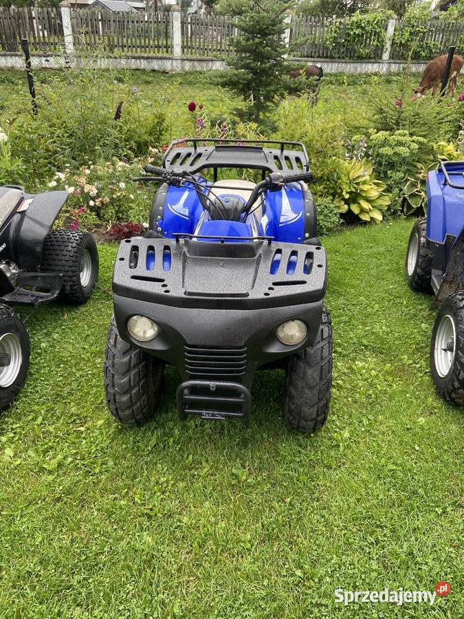 Aeon Cobra 180 Nowy Targ