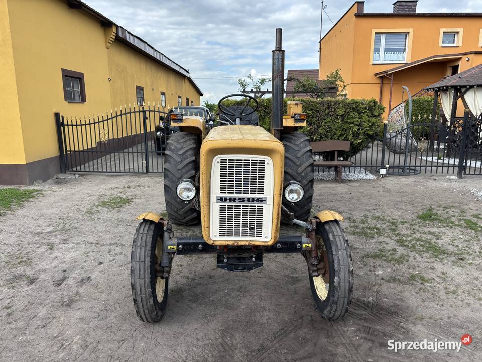 Ursus C3603p Ursus Wągrowiec