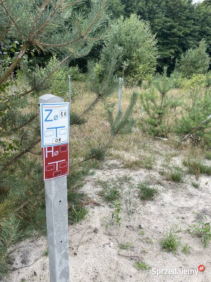 Działka budowlana Radziwiłłów