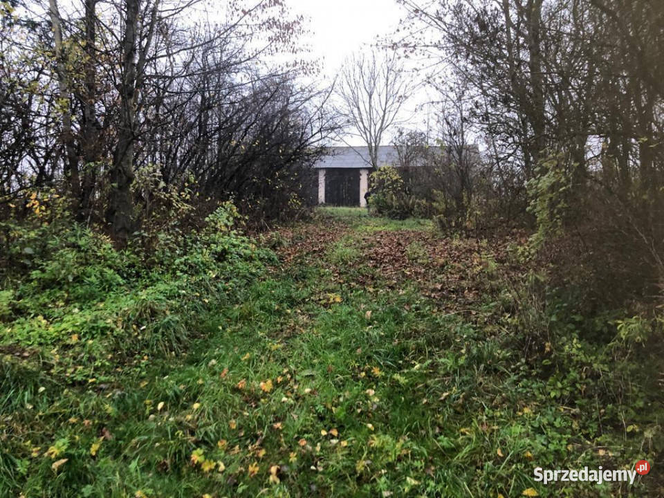 Anielpol działka 5200m2