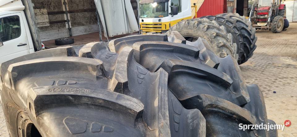 60065r38 6006538 Alliance LAO Nowe Nowe Miasto Lubawskie