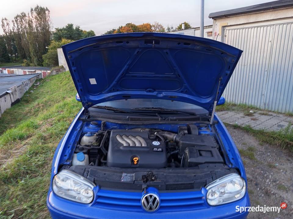 Golf 4 Rok produkcji 2001 warmińsko-mazurskie Iława