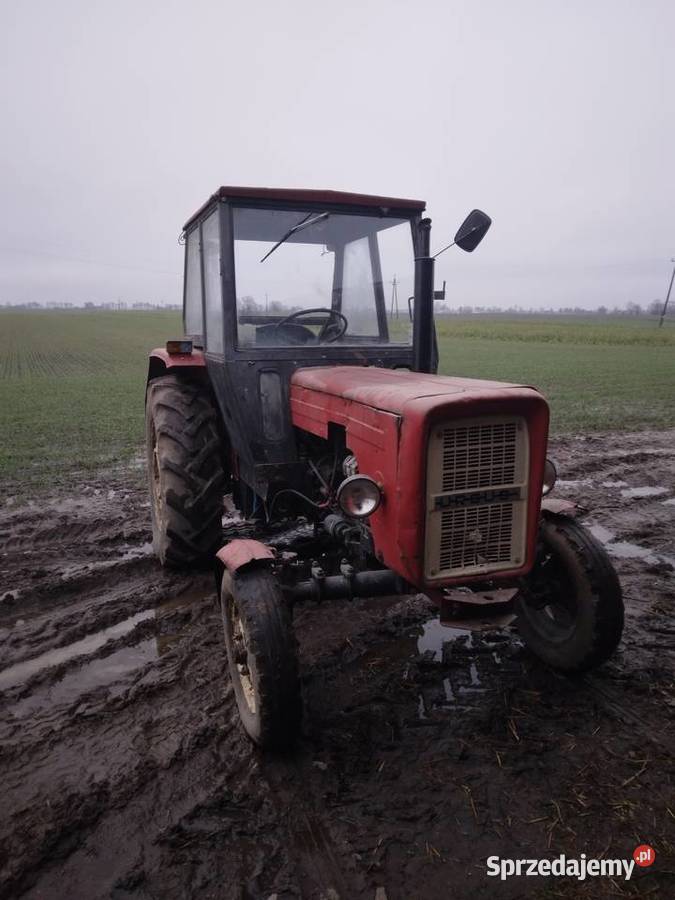 C 360 Ursus Chełmno