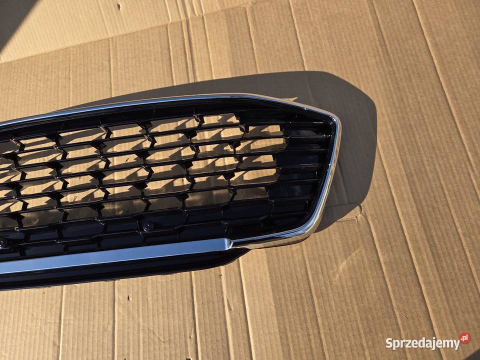 Grill Atrapa chłodnicy Ford Puma 2456978