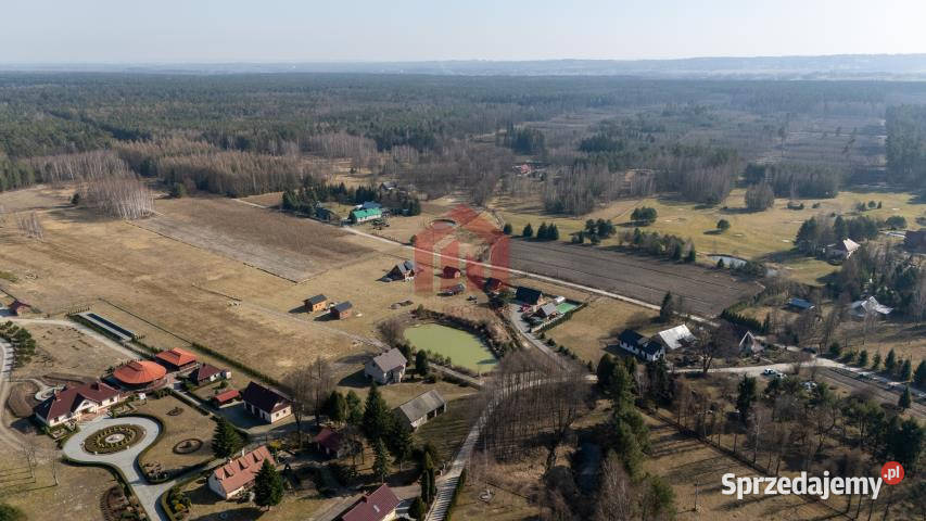 sprzedaży działki Krzywa 3100m2