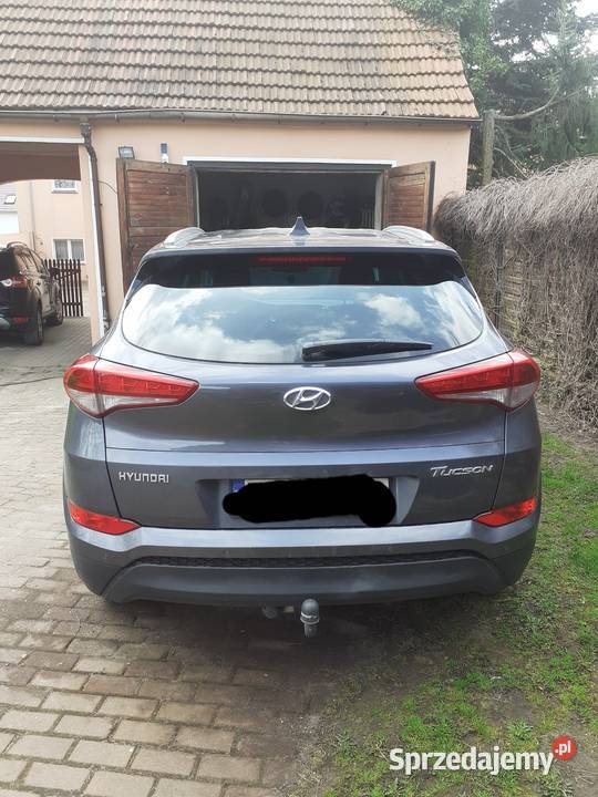 Hyundai immobilizer Tucson Trzebiel