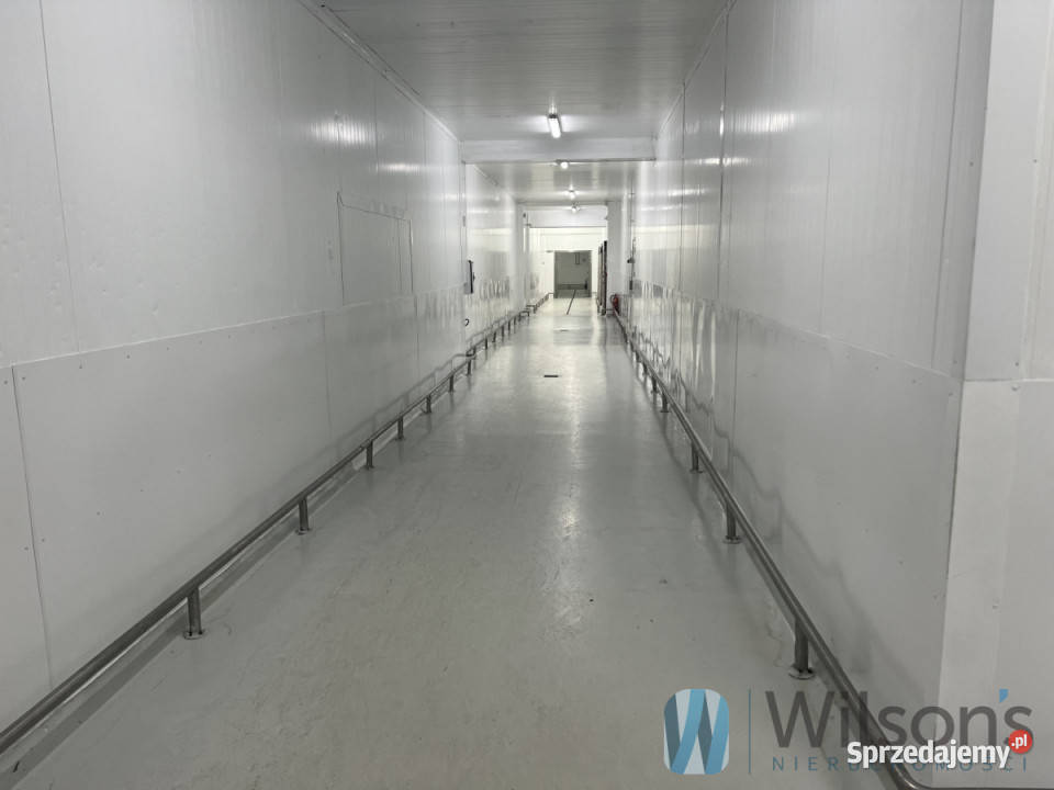 Lokal wynajmę 3000m2 Nowe Lipiny Szosa Jadowska